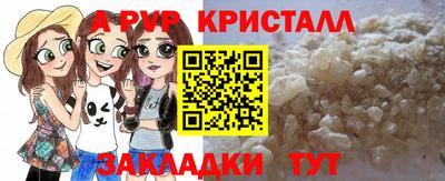 прущие грибы Нальчик