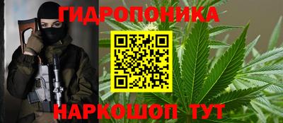 прущие грибы Нальчик