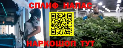 прущие грибы Нальчик