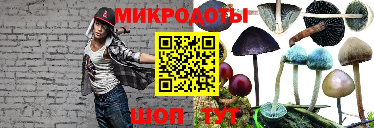 Маркс  Галлюциногенные грибы ЛСД  Псилоцибиновые грибы Psilocybe  Вход с VPN 
